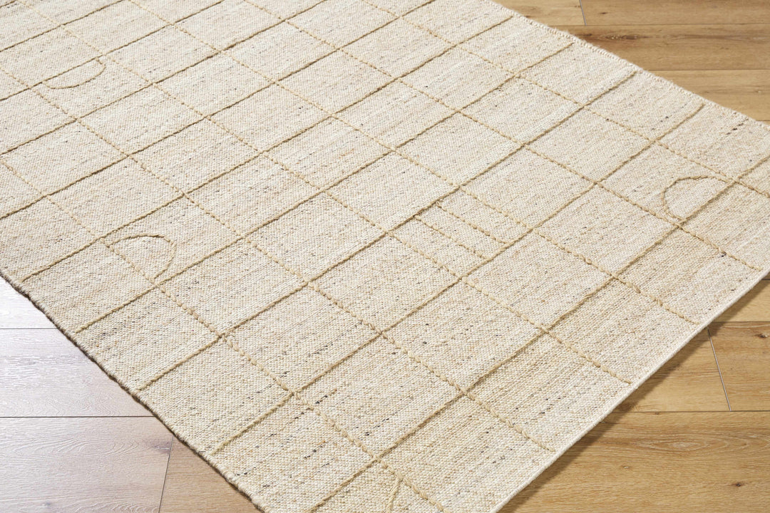 Tieve Modern Geometric Pattern Beige Hand Woven Wool Area Rug