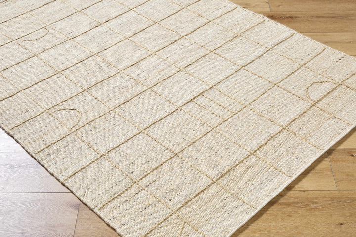 Tieve Modern Geometric Pattern Beige Hand Woven Wool Area Rug