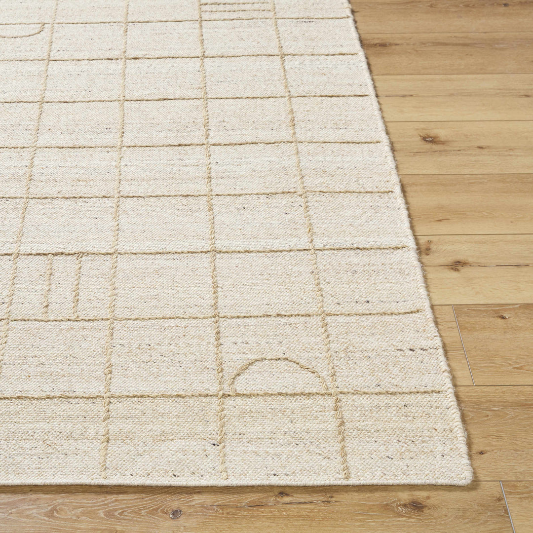 Tieve Modern Geometric Pattern Beige Hand Woven Wool Area Rug