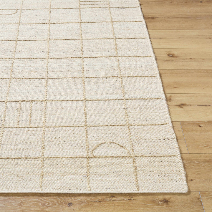 Tieve Modern Geometric Pattern Beige Hand Woven Wool Area Rug