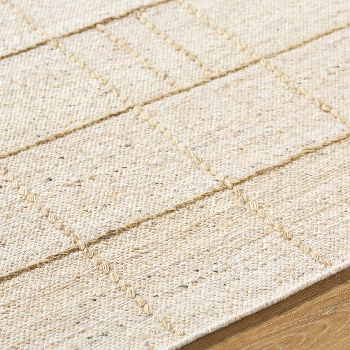 Tieve Modern Geometric Pattern Beige Hand Woven Wool Area Rug