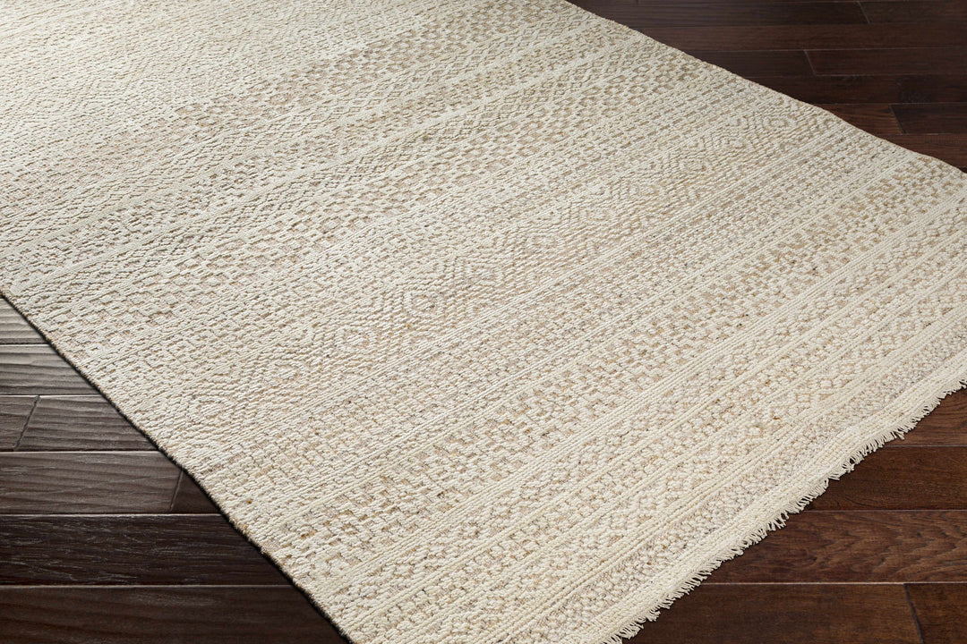 Tranmere Beige Modern Style Hand Knotted Area Rug