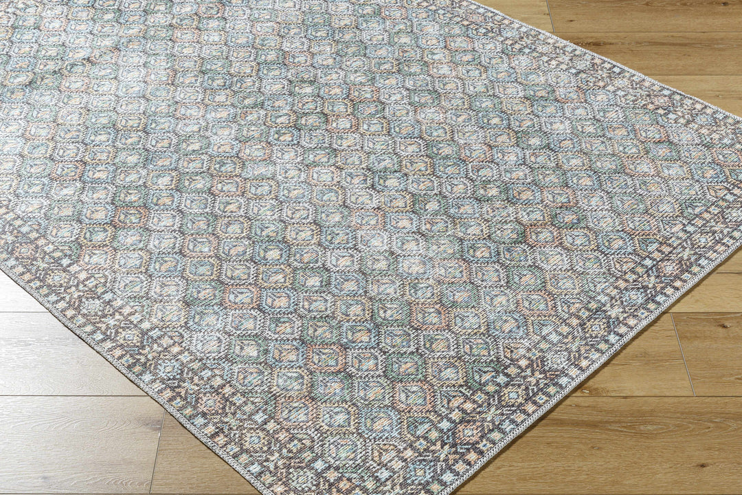 Telma Traditional Style Green And Blue Washable Area Rug