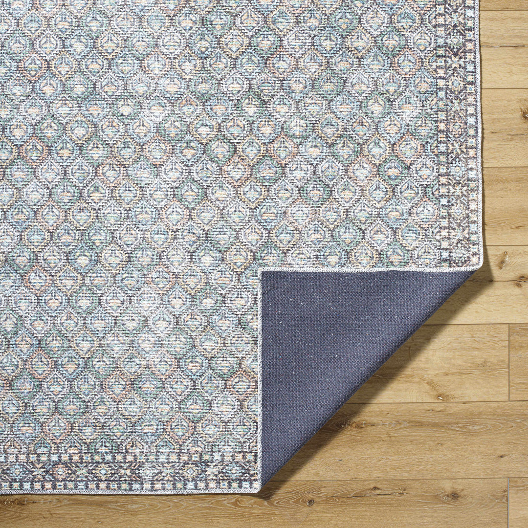 Telma Traditional Style Green And Blue Washable Area Rug