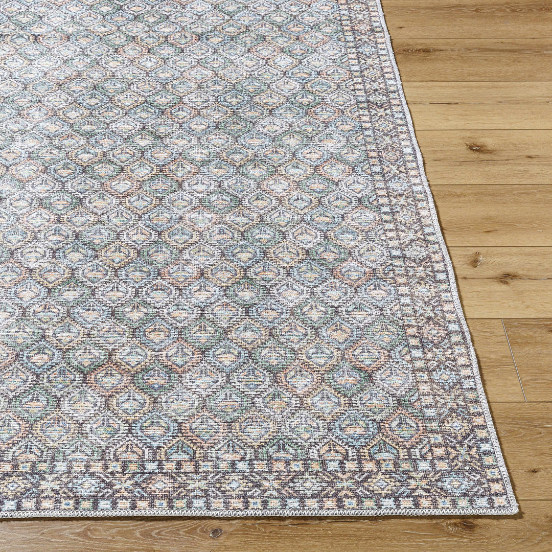 Telma Traditional Style Green And Blue Washable Area Rug