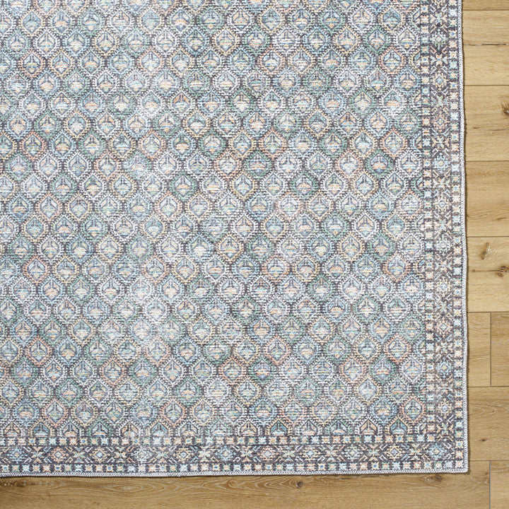 Telma Traditional Style Green And Blue Washable Area Rug