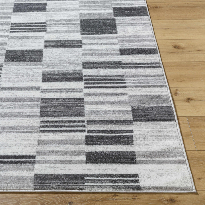 Tehya Black And Gray Modern Style Area Rug