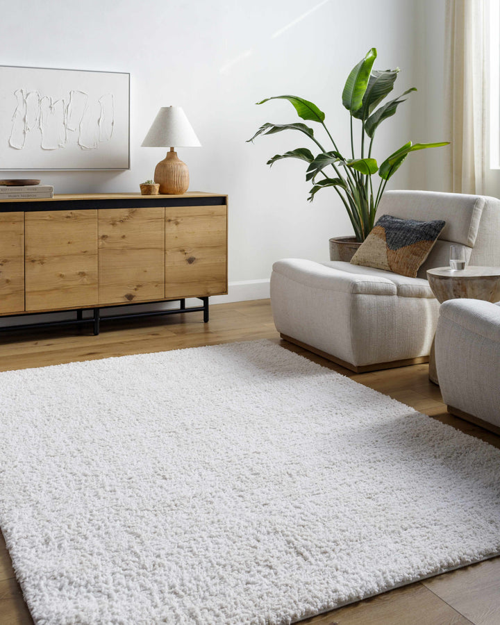 Troya Contemporary Solid Ivory And Gray Rug