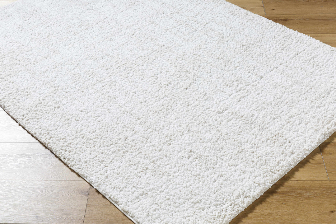 Troya Contemporary Solid Ivory And Gray Rug