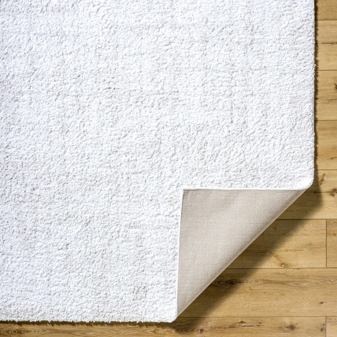 Troya Contemporary Solid Ivory And Gray Rug
