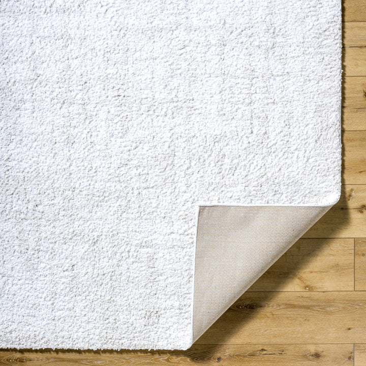 Troya Contemporary Solid Ivory And Gray Rug