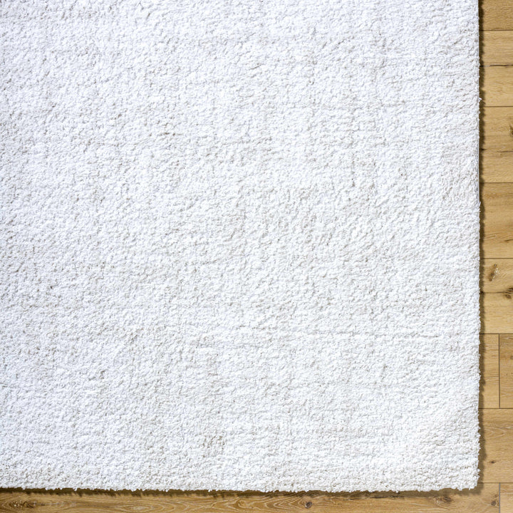 Troya Contemporary Solid Ivory And Gray Rug