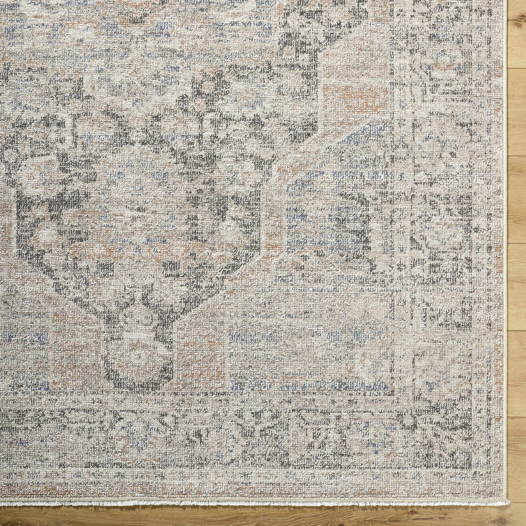 Tavon Traditional Style Beige And Gray Area Rug