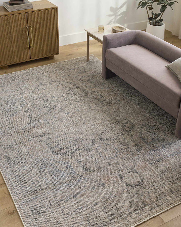 Tavon Traditional Style Beige And Gray Area Rug