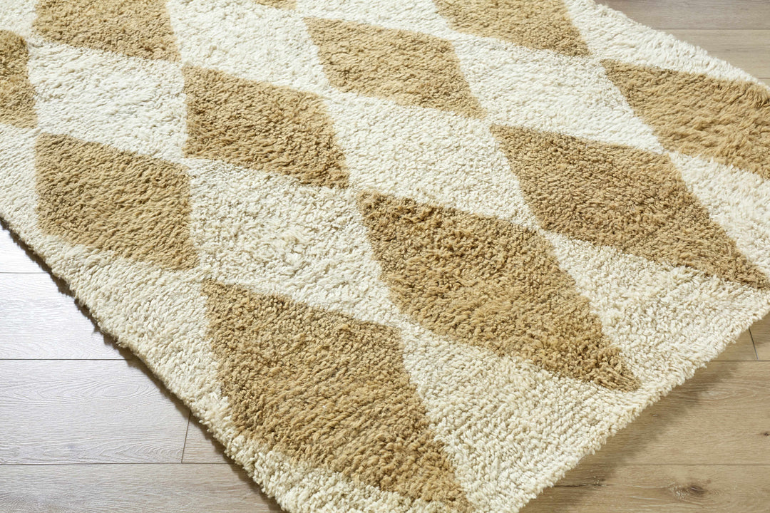 Tivka Contemporary Geometrical Brown And Beige Wool Rug