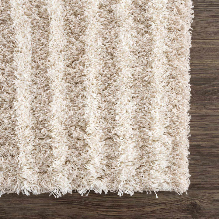Emmly Contemporary Style Beige And Ivory Area Rug