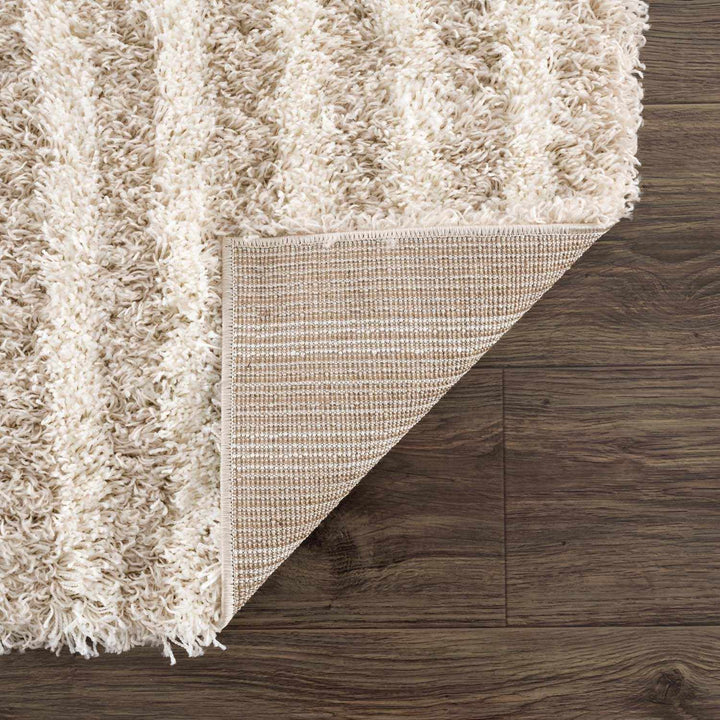 Emmly Contemporary Style Beige And Ivory Area Rug