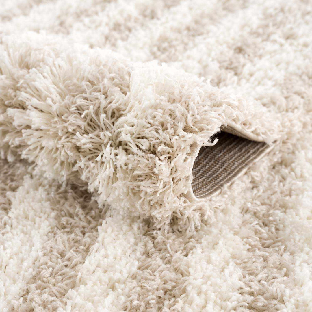 Emmly Contemporary Style Beige And Ivory Area Rug