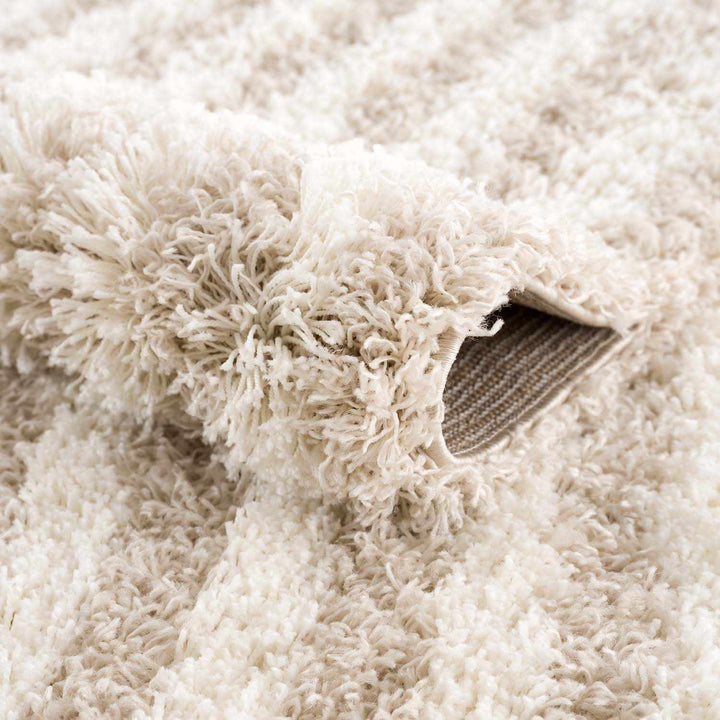 Emmly Contemporary Style Beige And Ivory Area Rug