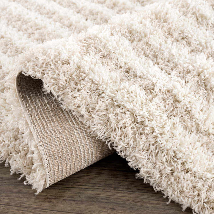 Emmly Contemporary Style Beige And Ivory Area Rug