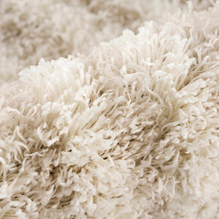Emmly Contemporary Style Beige And Ivory Area Rug