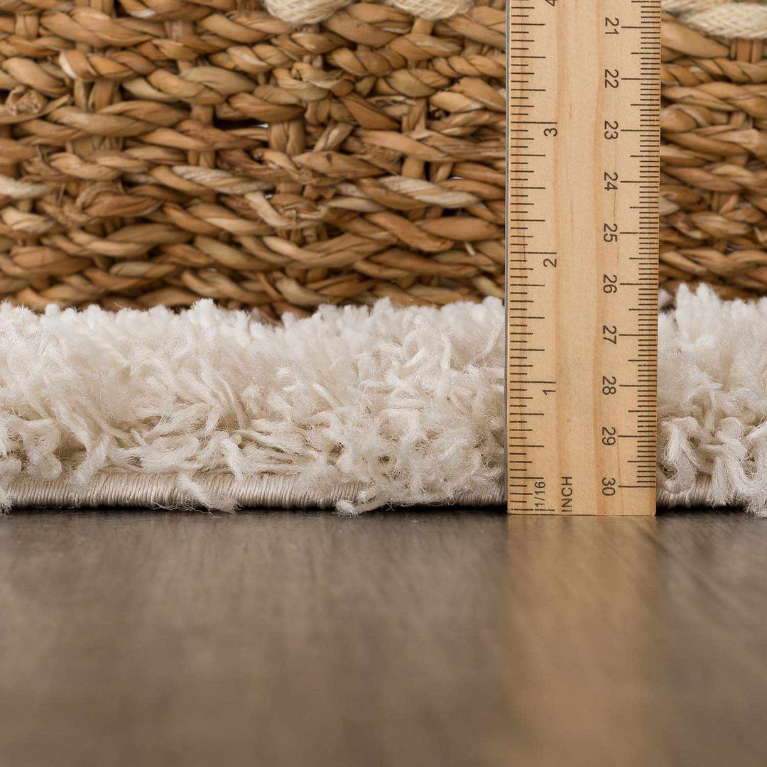 Emmly Contemporary Style Beige And Ivory Area Rug