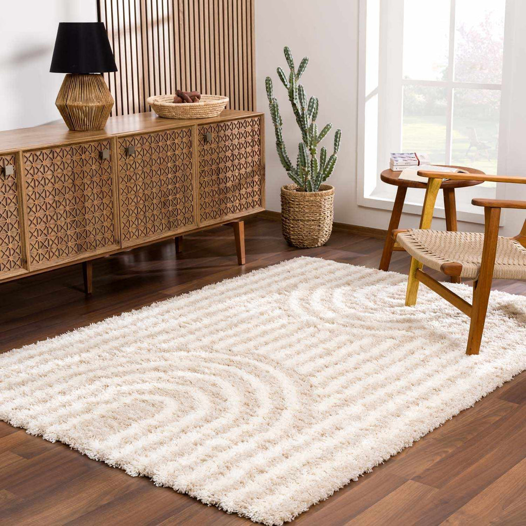 Emmly Contemporary Style Beige And Ivory Area Rug