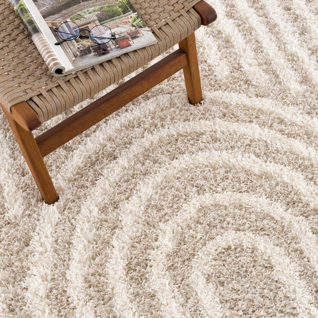 Emmly Contemporary Style Beige And Ivory Area Rug