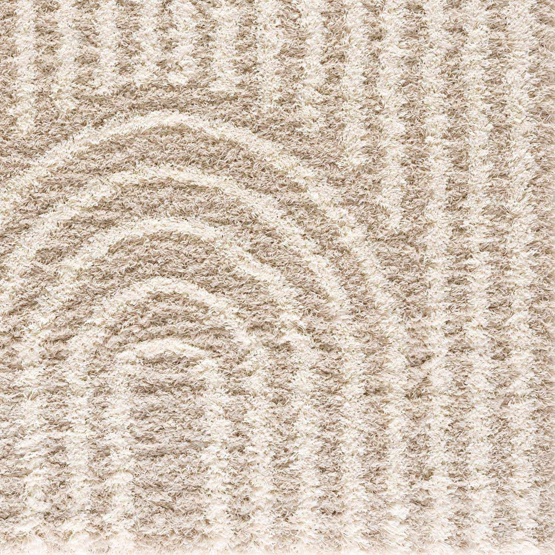 Emmly Contemporary Style Beige And Ivory Area Rug