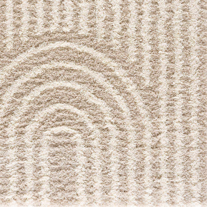 Emmly Contemporary Style Beige And Ivory Area Rug