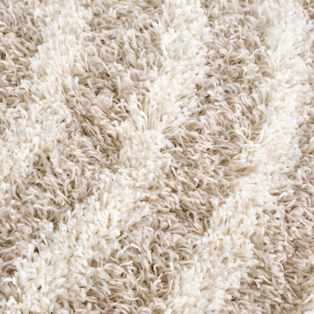 Emmly Contemporary Style Beige And Ivory Area Rug