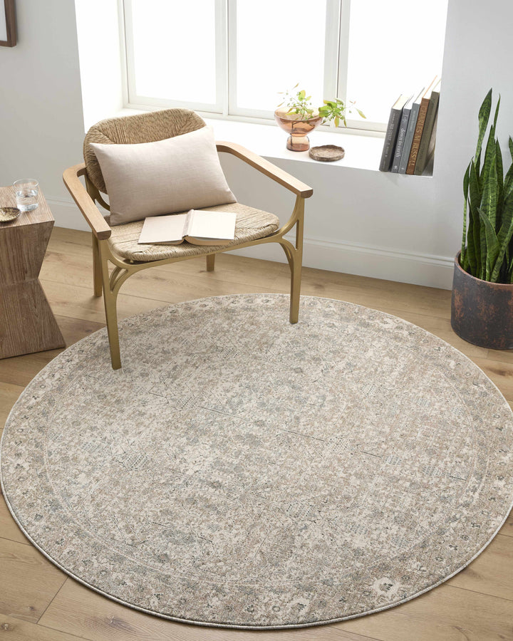 Avalyn Traditional Style Cream Rug