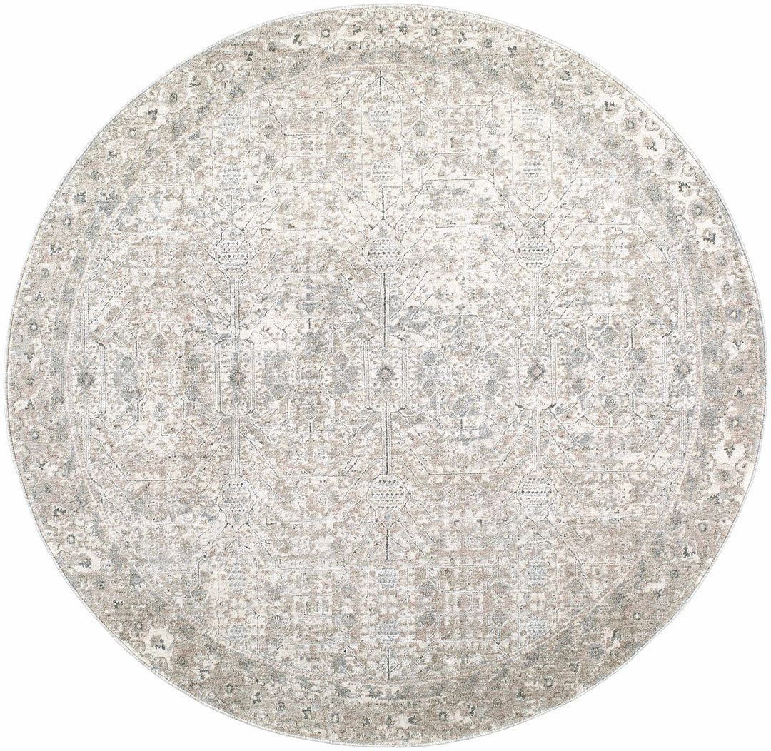Avalyn Traditional Style Cream Rug