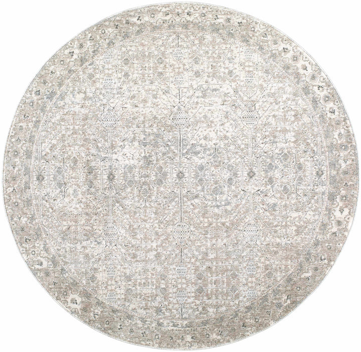 Avalyn Traditional Style Cream Rug