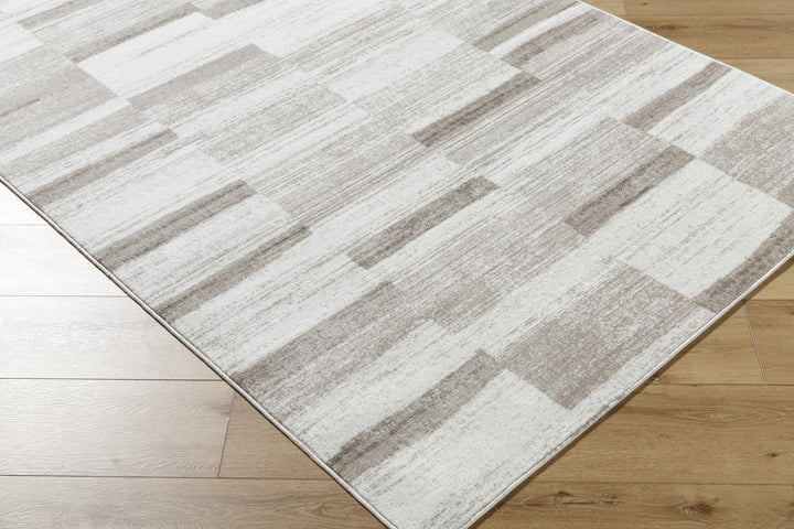Vasso Contemporary Style Ivory And Brown Area Rug
