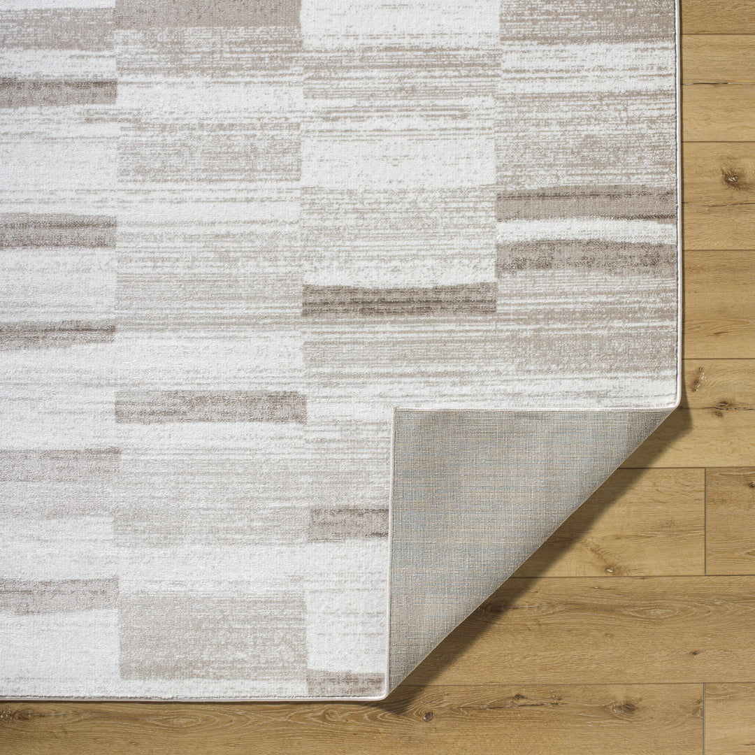 Vasso Contemporary Style Ivory And Brown Area Rug