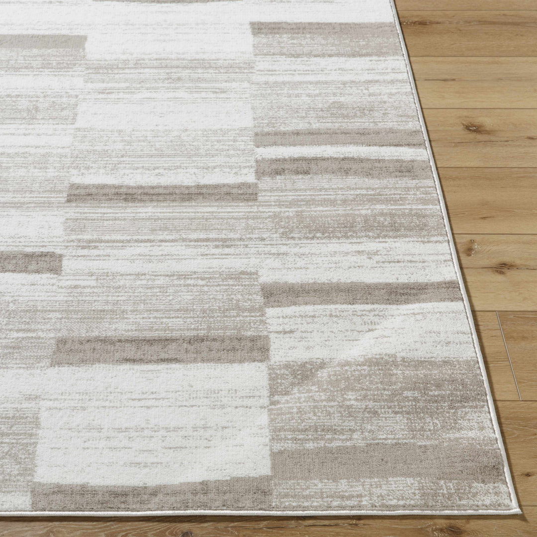 Vasso Contemporary Style Ivory And Brown Area Rug