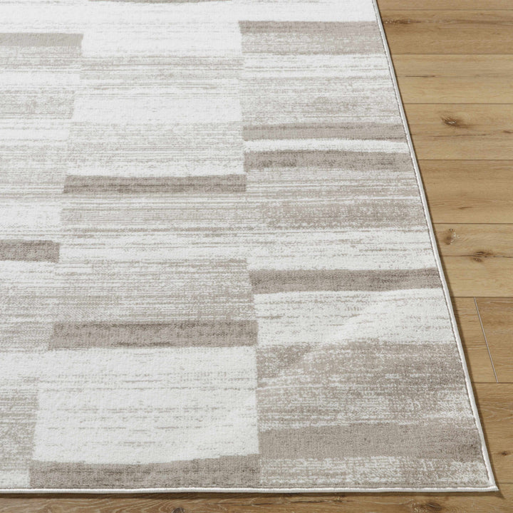 Vasso Contemporary Style Ivory And Brown Area Rug
