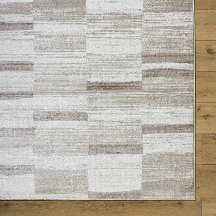 Vasso Contemporary Style Ivory And Brown Area Rug
