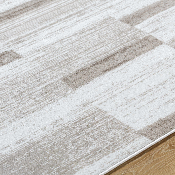 Vasso Contemporary Style Ivory And Brown Area Rug
