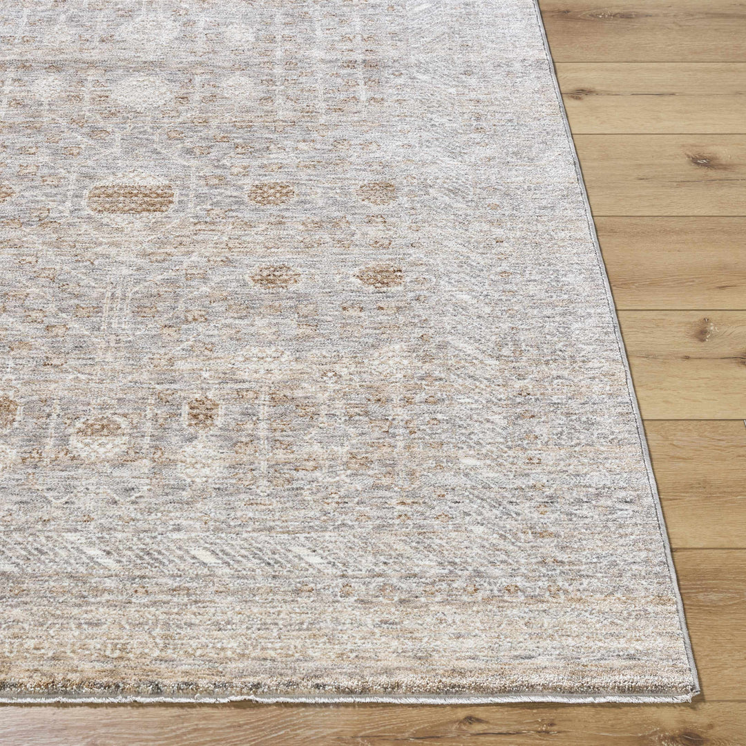 Vince Traditional Style Brown And Gray Area Rug