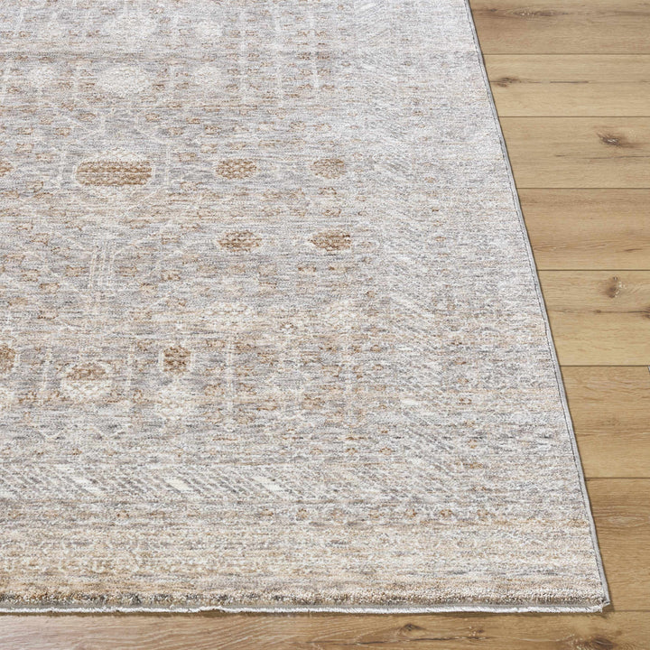 Vince Traditional Style Brown And Gray Area Rug