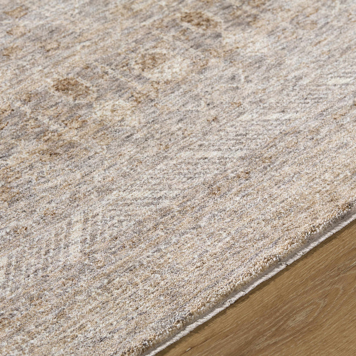 Vince Traditional Style Brown And Gray Area Rug
