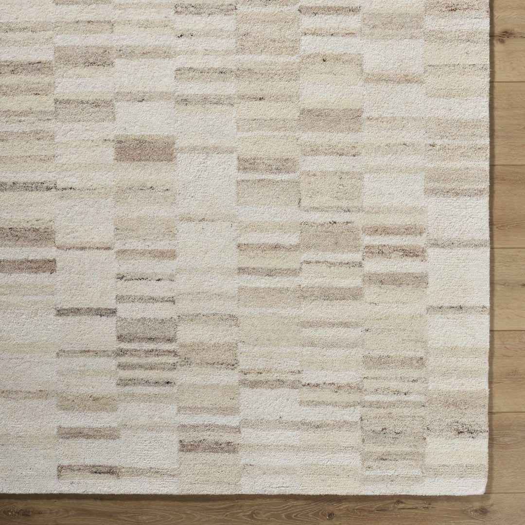 Axelle Contemporary Abstract Beige Hand Tufted Area Rug