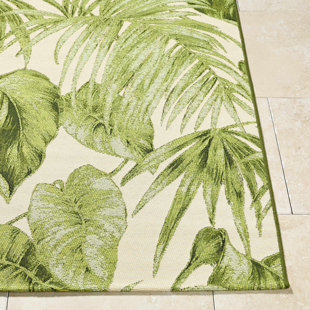 Amirah Contemporary Botanical Olive Rug