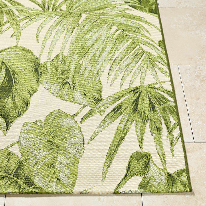 Amirah Contemporary Botanical Olive Rug
