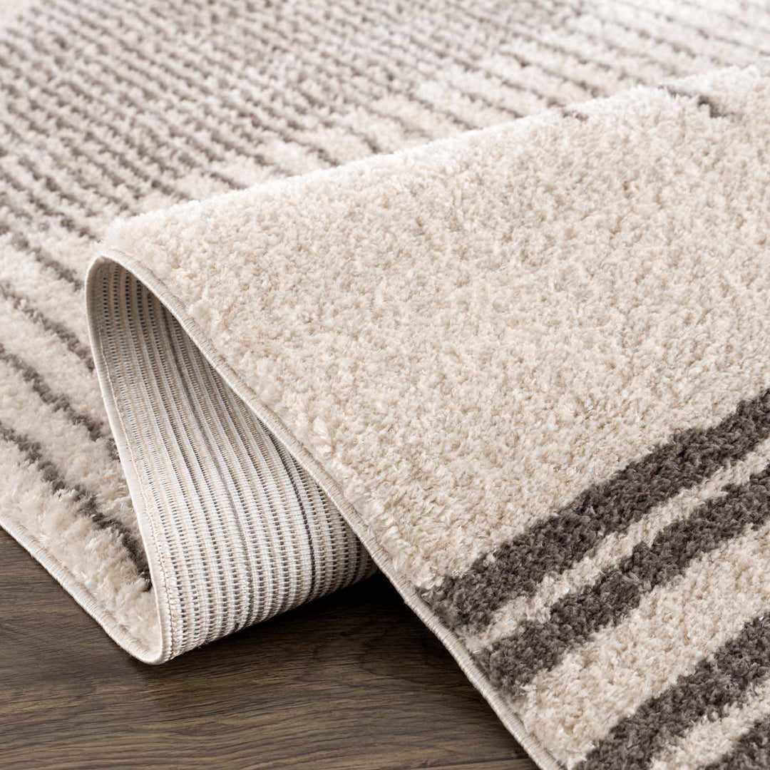 Apichu Contemporary Style Beige And Charcoal Washable Area Rug