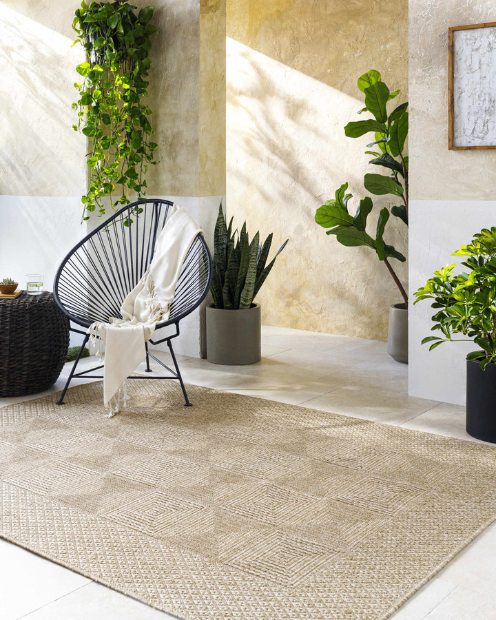 Anabia Traditional Style Beige Outdoor Area Rug