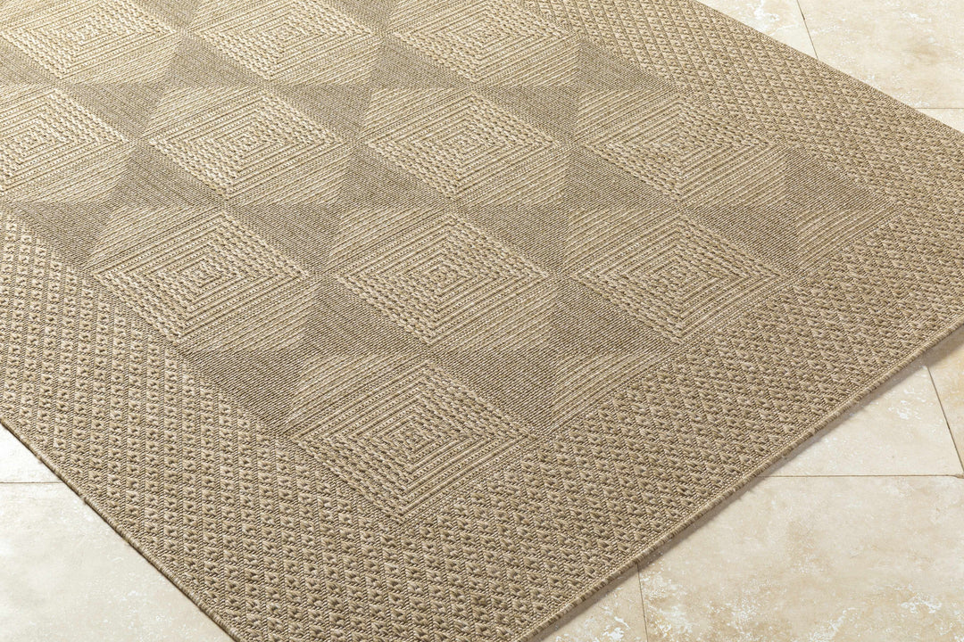 Anabia Traditional Style Beige Outdoor Area Rug