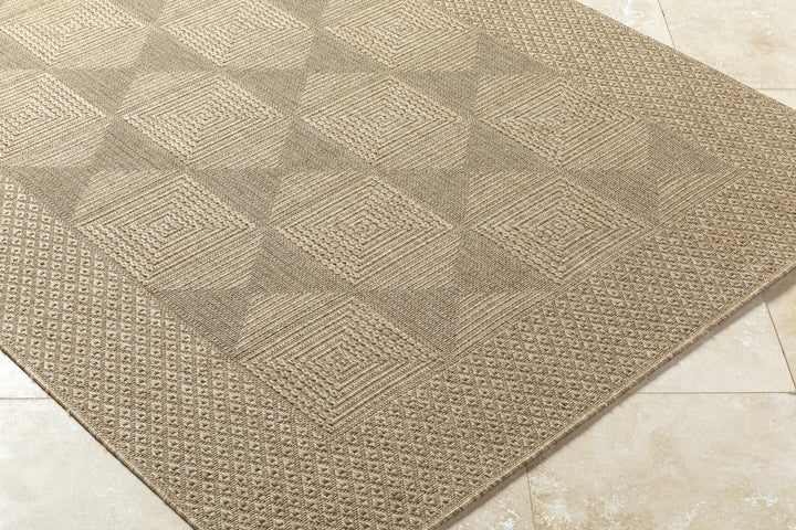 Anabia Traditional Style Beige Outdoor Area Rug